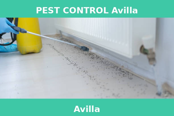 PEST CONTROL Avilla